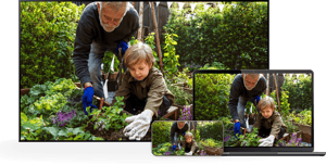 AdobeStock_152224589_right