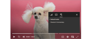 how to use alternate audio tracks