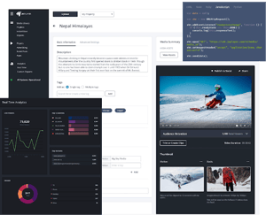 OVP platform interface